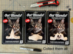 Cat Hands Wicked - limited edition green 3D-printed hands for loafing cats