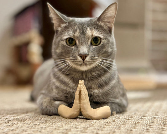 Cat Hands (Namaste)