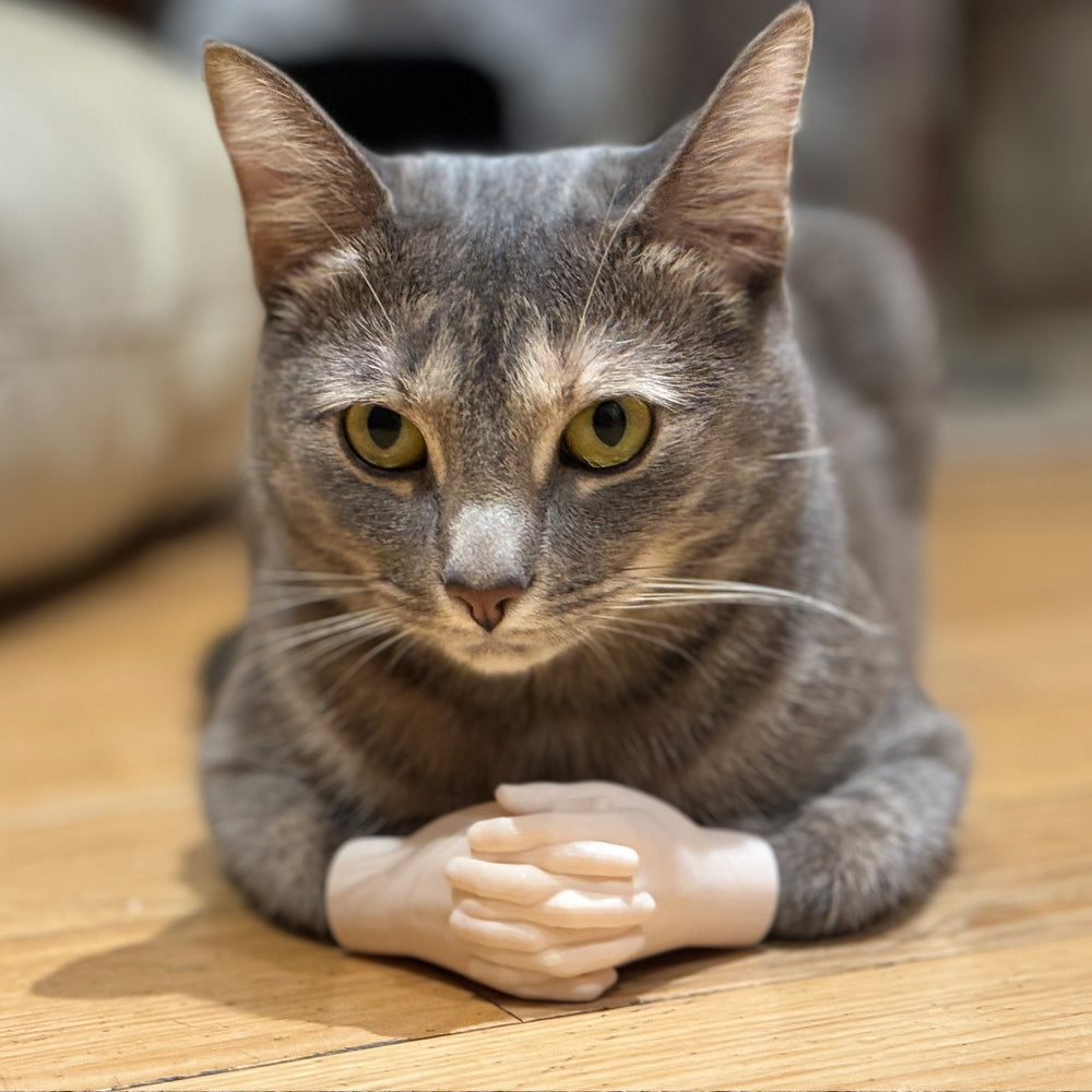 Cat Hands Original — beige — cat in loaf position with tiny 3D-printed hands
