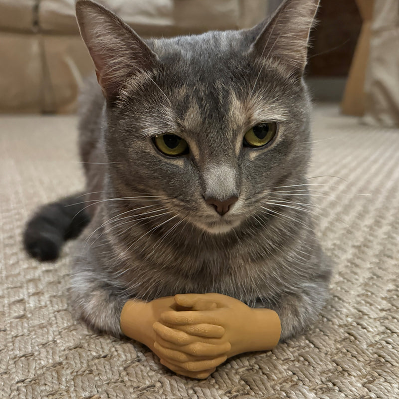 Cat Hands Original in bronze - funny tiny hands cat costume accessory