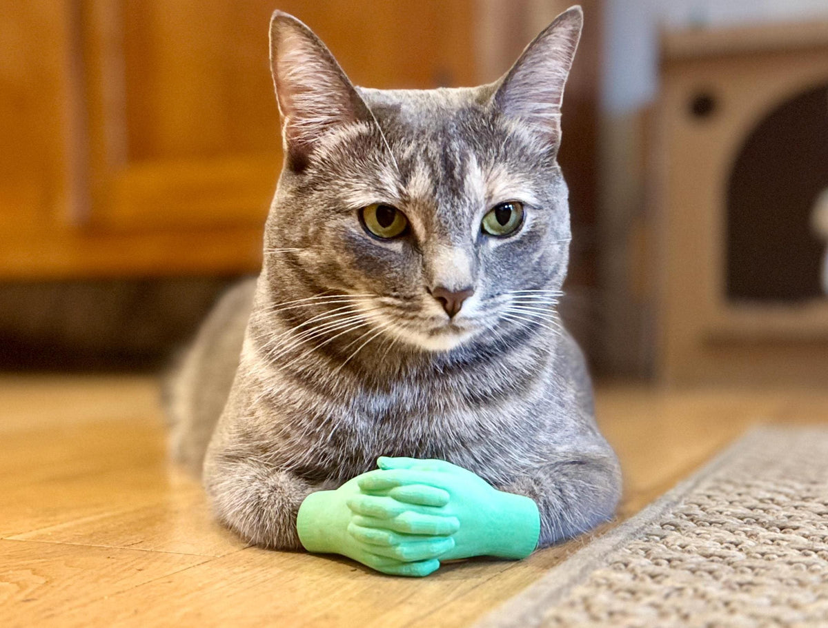 Cat Hands Wicked - green witch hands for cats inspired by Elphaba