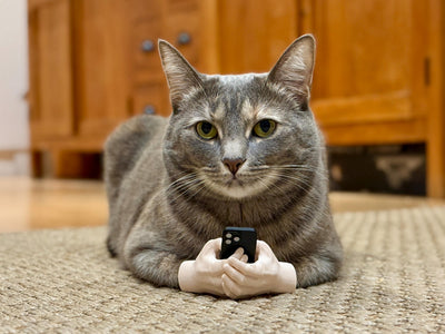 Cat Hands Doom Scroll