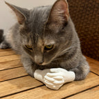 Cat Hands Original in white - cute tiny hands for cat photo shoots